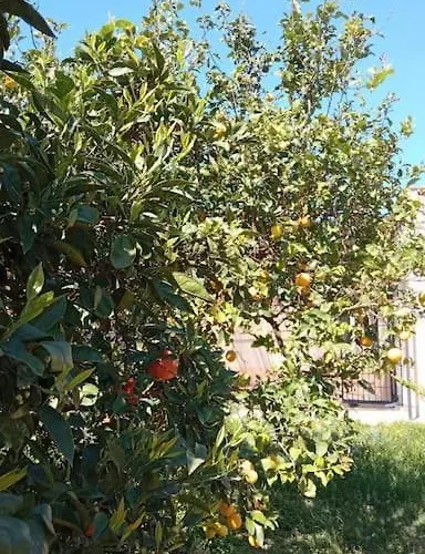 La Rossi With Pool 4 * Gallipoli