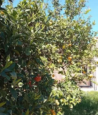 La Rossi With Pool 4 * Галліполі